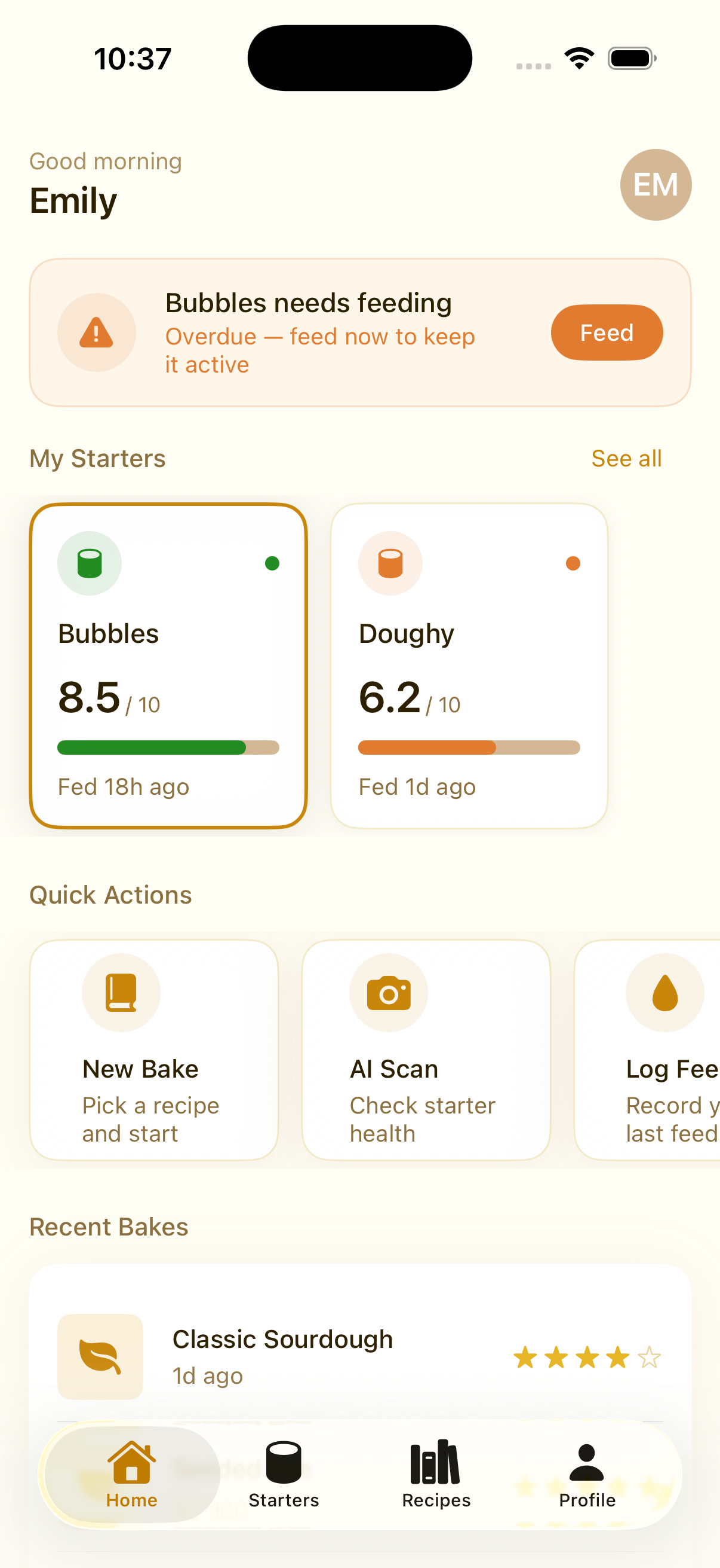 SourdoughPro 1